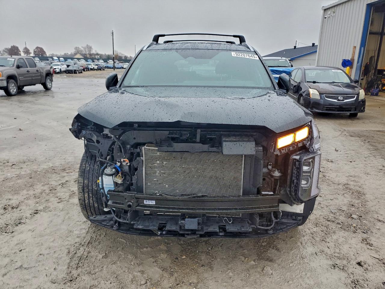 HYUNDAI PALISADE CALLIGRAPHY