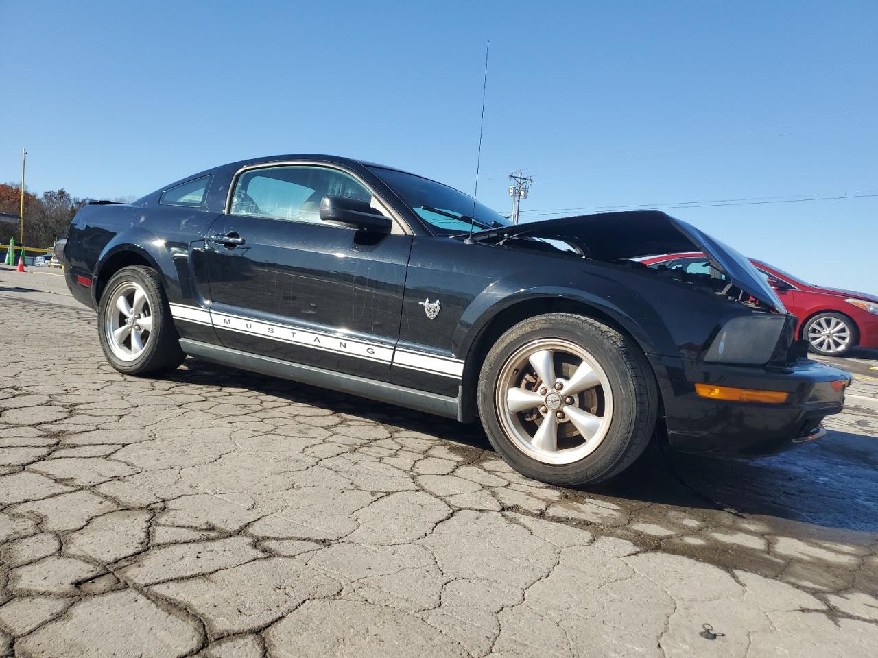 Lot #3302824946 2009 FORD MUSTANG