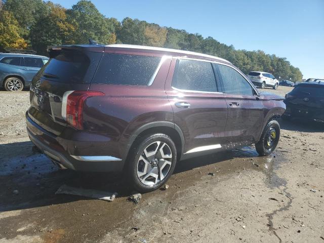 2025 HYUNDAI PALISADE L #3281391016