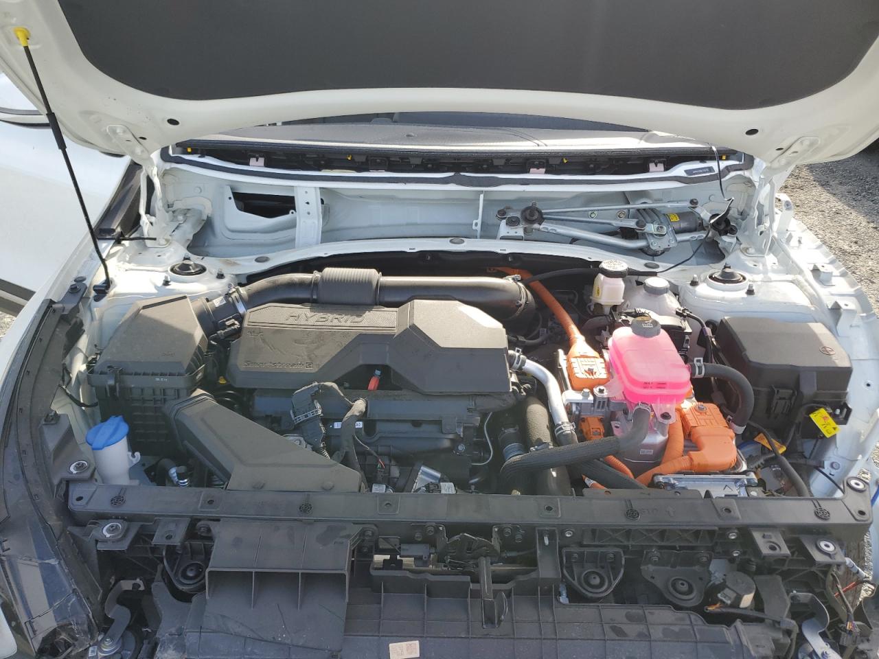 Lot #3308633501 2025 KIA SPORTAGE E