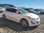 Lot #3303959696 2016 HYUNDAI ELANTRA SE