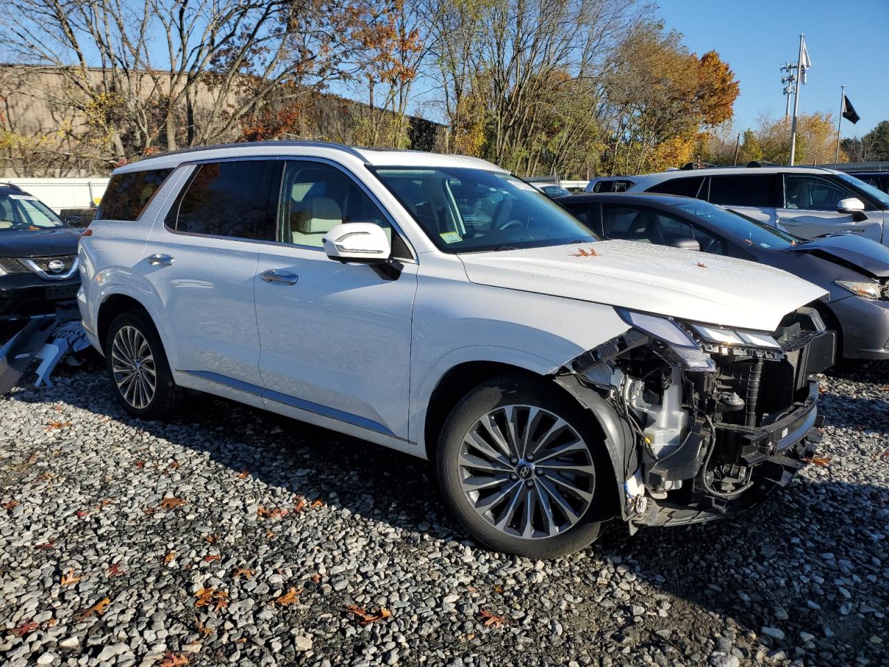 HYUNDAI PALISADE CALLIGRAPHY