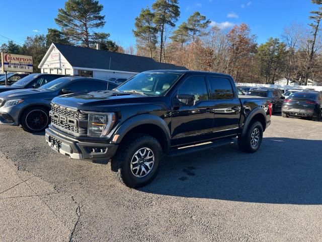 2023 FORD F150 RAPTO #3293307454