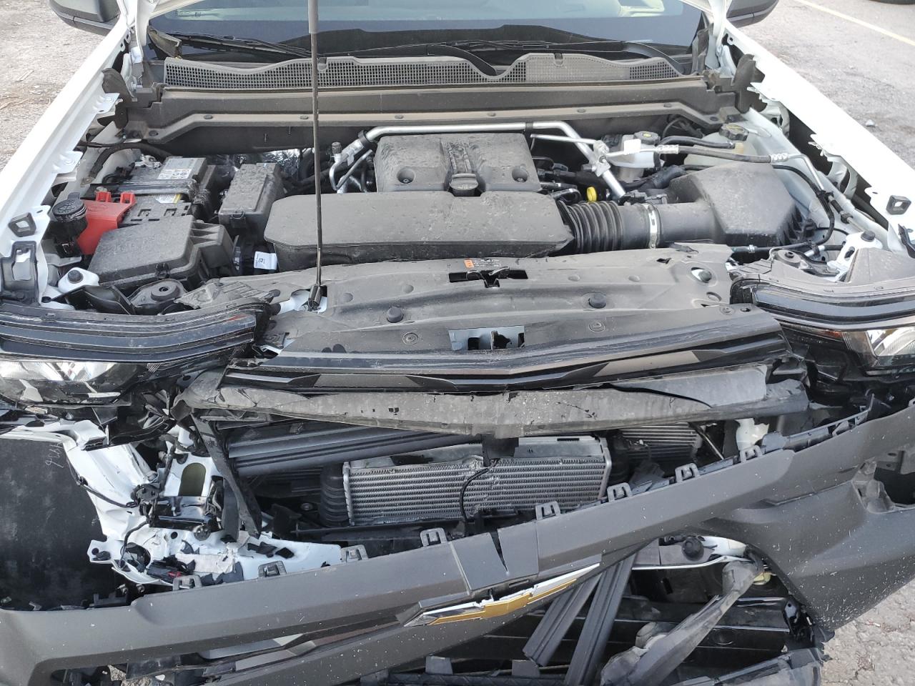 Lot #3317234178 2025 CHEVROLET COLORADO