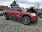 Lot #3305323324 2013 NISSAN TITAN S