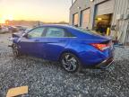Lot #3294407541 2025 HYUNDAI ELANTRA LI