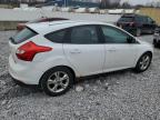 Lot #3309478581 2014 FORD FOCUS SE
