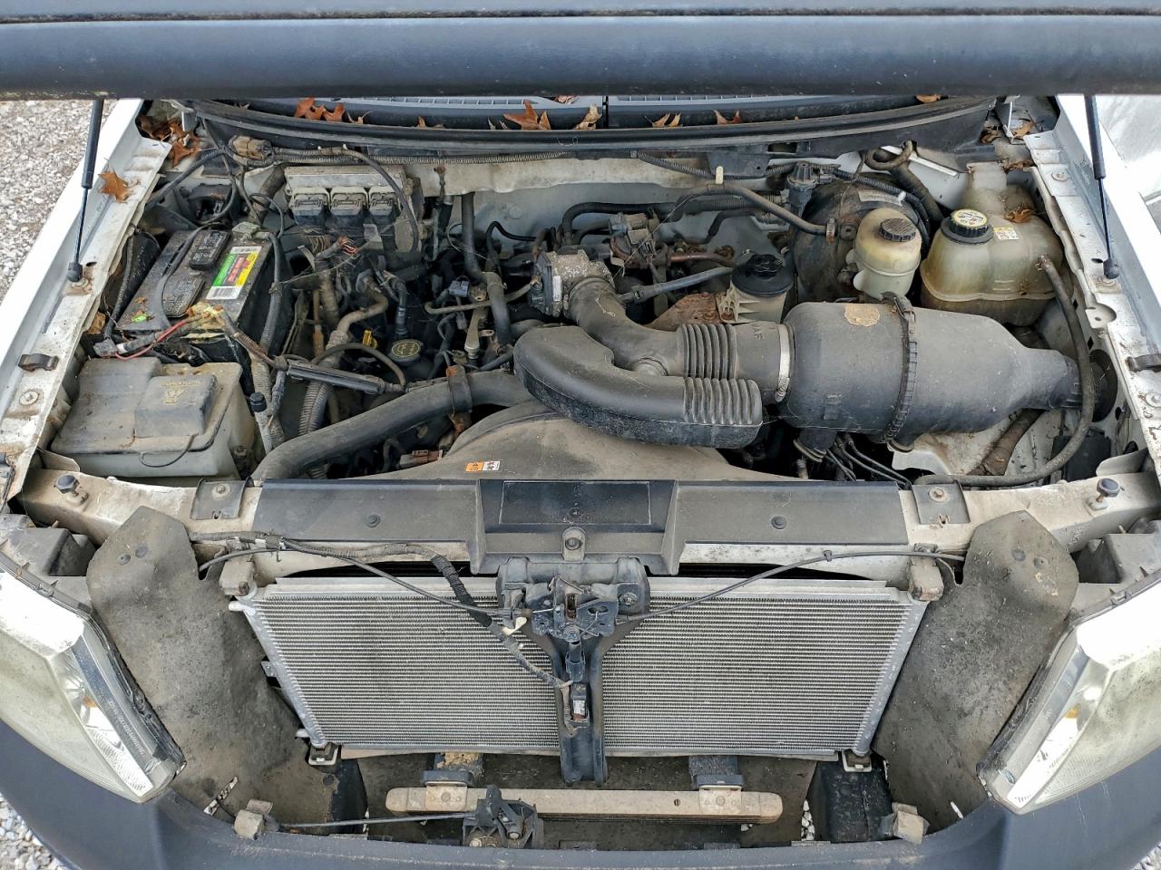 Lot #3310369993 2007 FORD F150