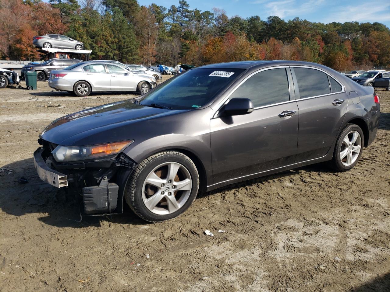 Lot #3310393961 2010 ACURA TSX
