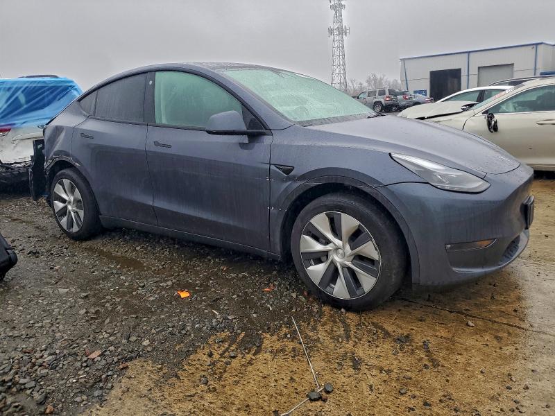 2023 TESLA MODEL Y #3301818347