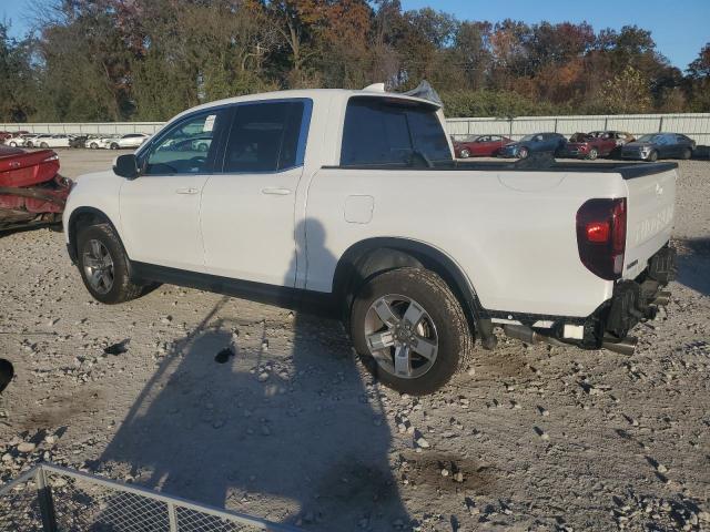 2024 HONDA RIDGELINE #3291324182
