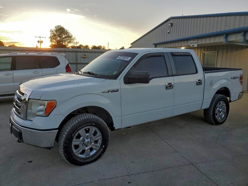 Global Auto Auctions: 2010 FORD F150 SUPER
