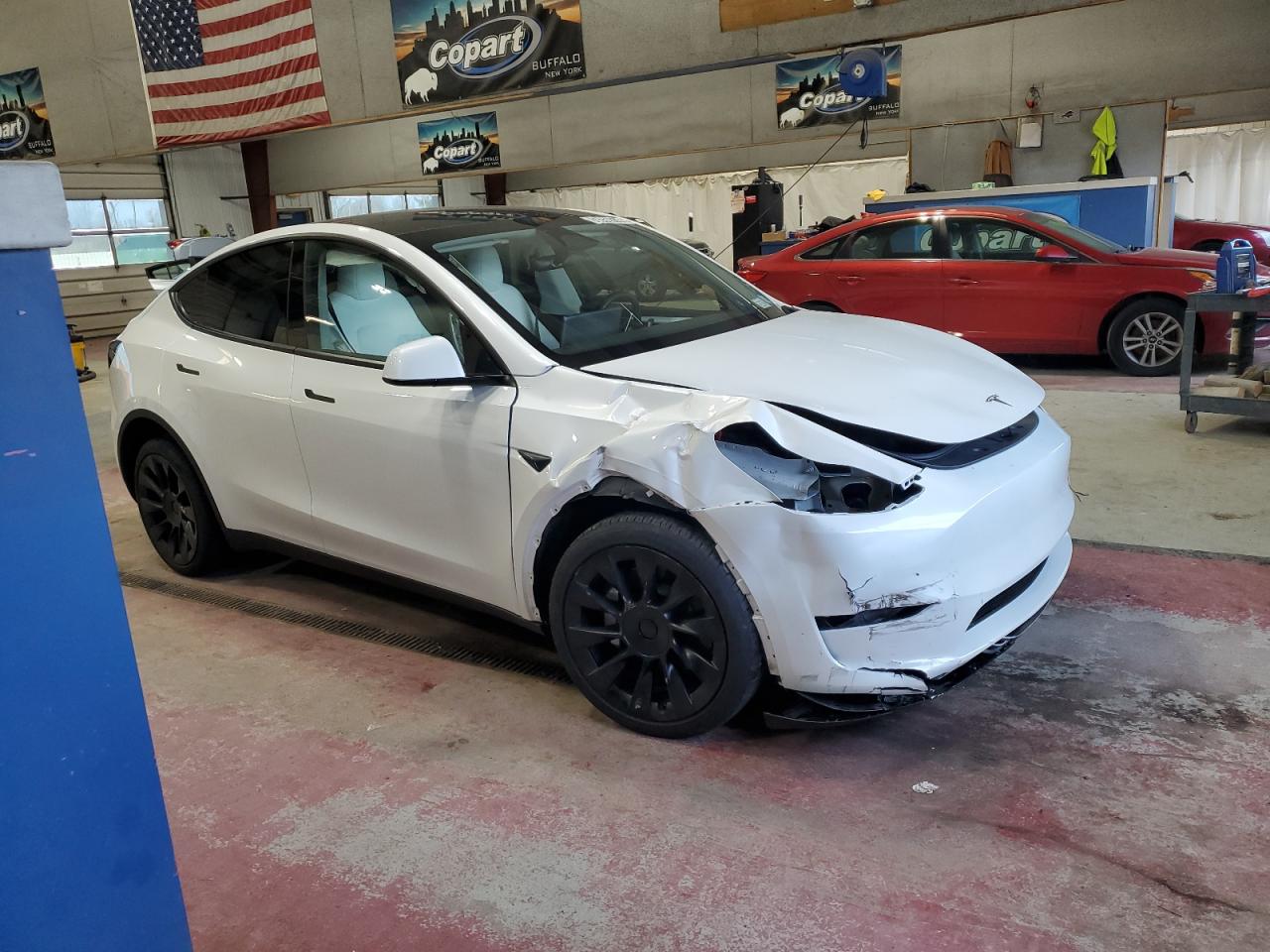 Lot #3302759387 2025 TESLA MODEL Y