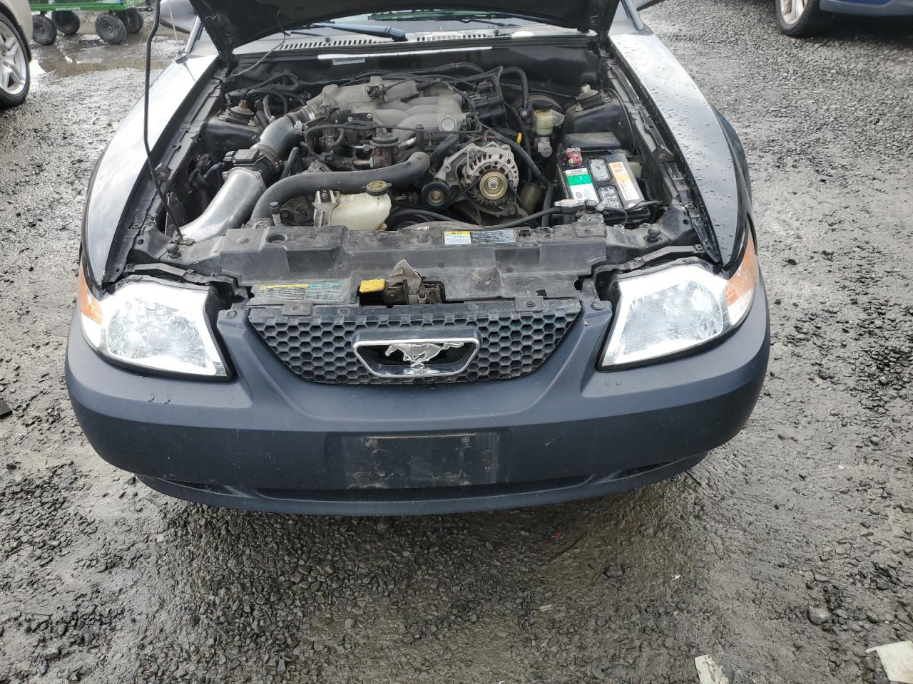 Lot #3282722293 2004 FORD MUSTANG