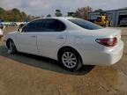 Lot #3296326462 2003 LEXUS ES 300