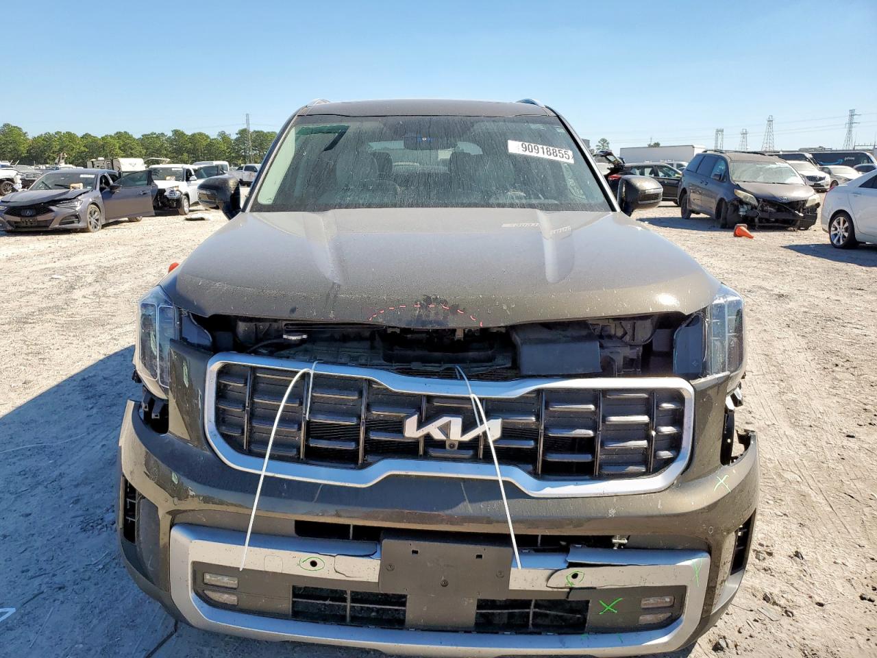 Lot #3304817539 2023 KIA TELLURIDE