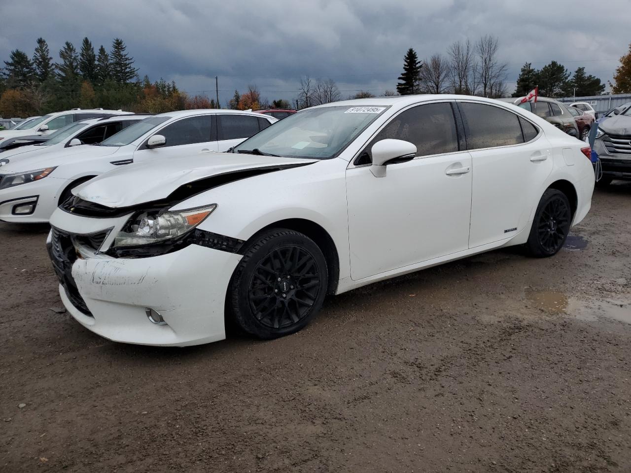 LEXUS ES 300H