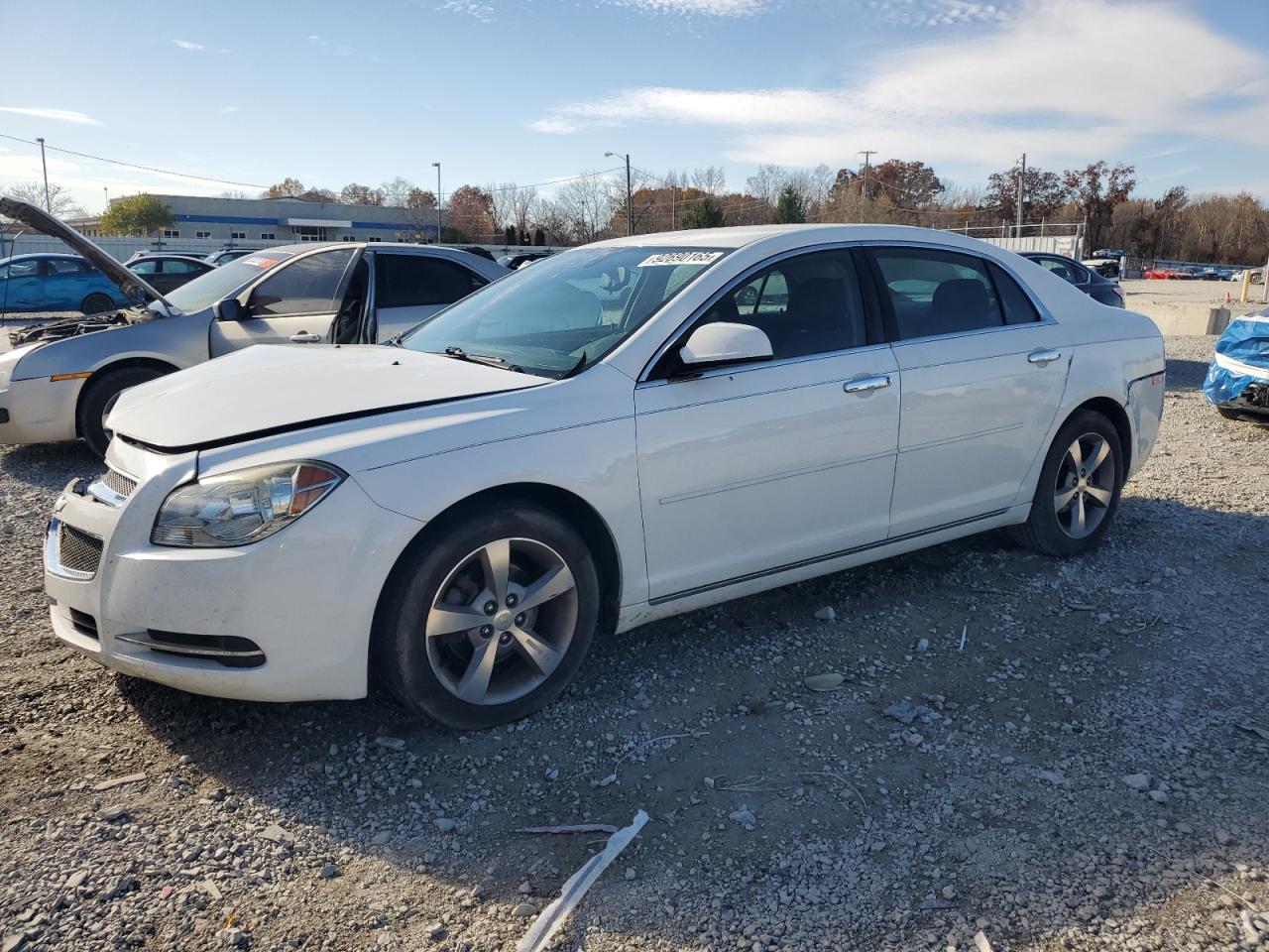 CHEVROLET MALIBU 1LT