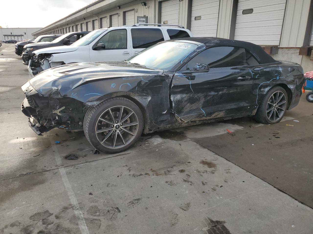 Lot #3286741287 2019 FORD MUSTANG