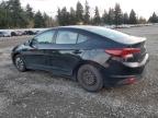 Lot #3304704928 2019 HYUNDAI ELANTRA SE