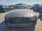 Lot #3297316437 2013 FORD MUSTANG