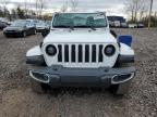 Lot #3308473402 2021 JEEP WRANGLER U