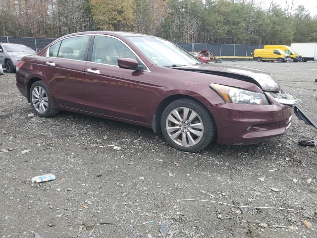 2011 HONDA ACCORD EXL #3294254880