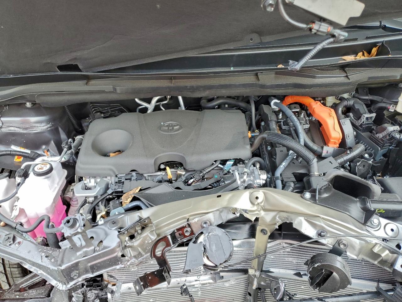 TOYOTA SIENNA LIMITED