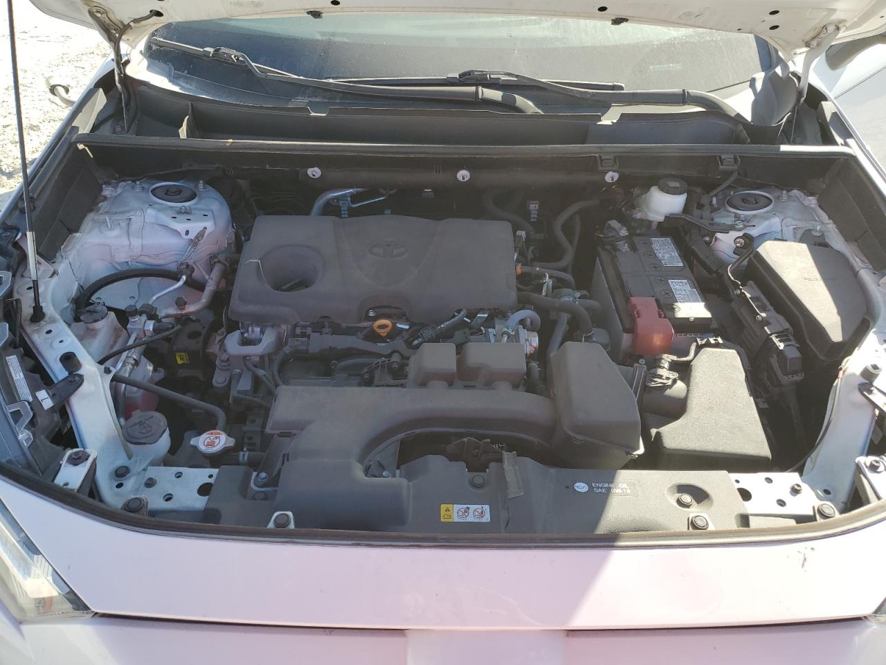 Lot #3311718263 2023 TOYOTA RAV4 XLE