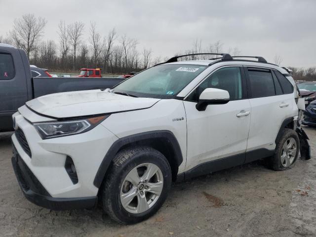 TOYOTA RAV4 XLE