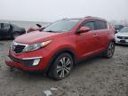 Lot #3305304360 2011 KIA SPORTAGE E