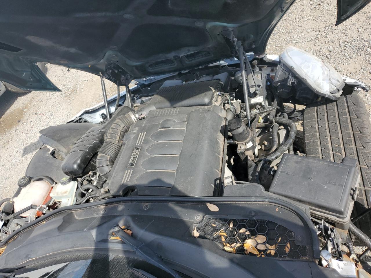 Lot #3280290966 2009 SATURN SKY