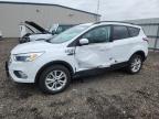 Lot #3303730416 2018 FORD ESCAPE SE