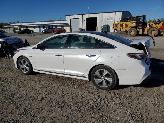 2017 HYUNDAI SONATA HYB - KMHE34L39HA075629