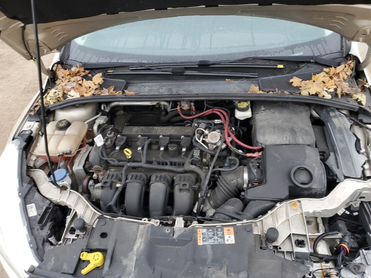 Lot #3302708031 2017 FORD FOCUS SE