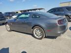 Lot #3297316437 2013 FORD MUSTANG