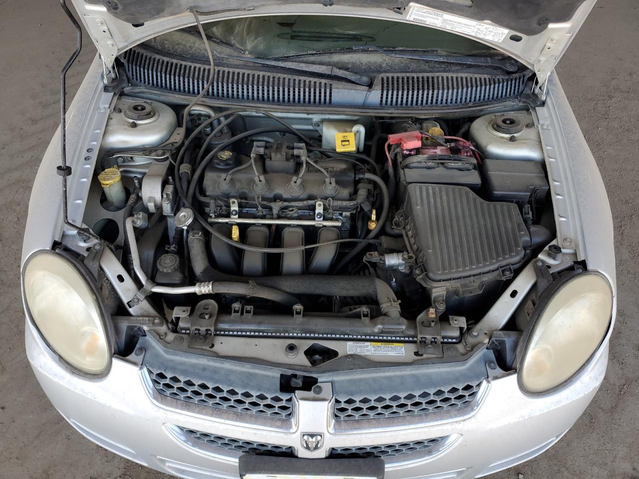 Lot #3279515253 2005 DODGE NEON BASE