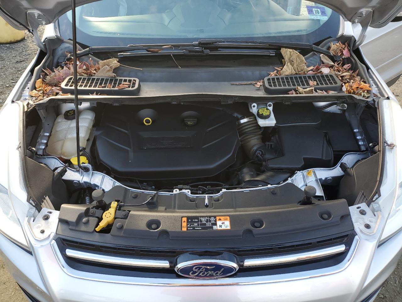 FORD ESCAPE TITANIUM