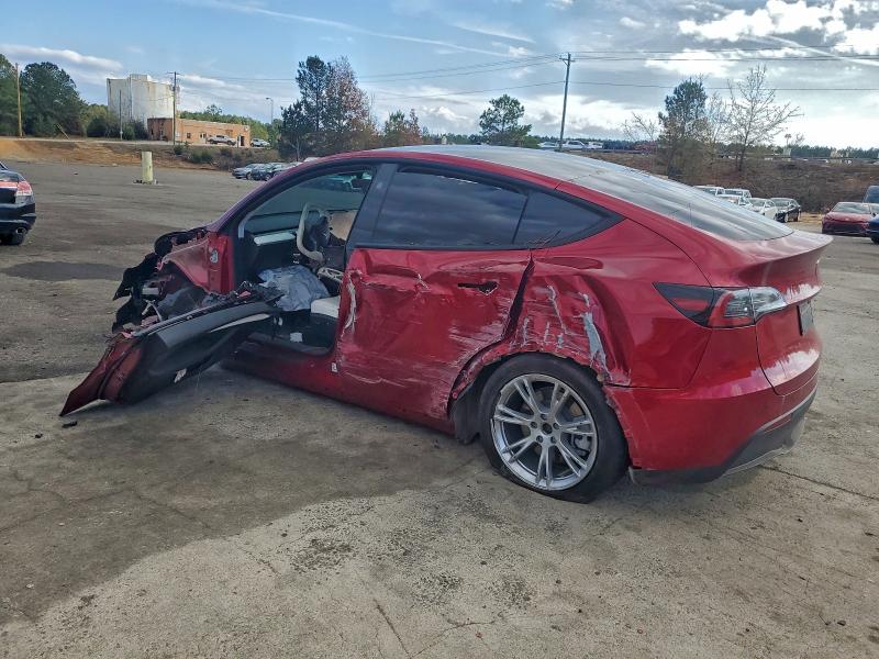 2024 TESLA MODEL Y #3303750452