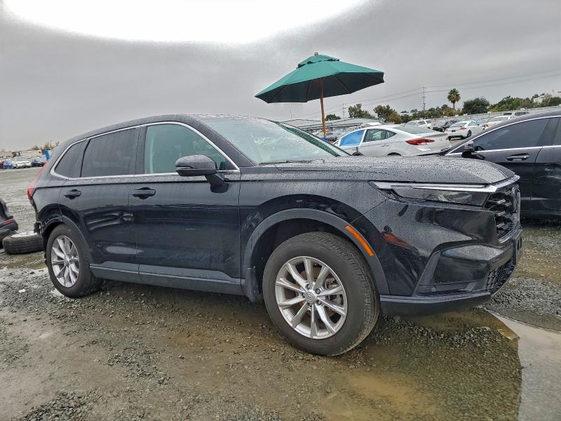 2024 HONDA CR-V EXL #3302673034