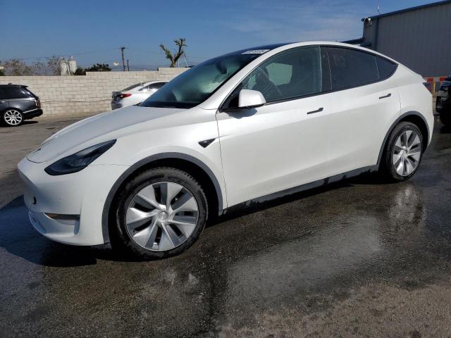 Global Auto Auctions: 2021 TESLA MODEL Y