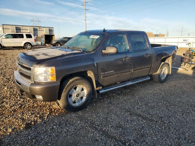 Global Auto Auctions: 2011 CHEVROLET SILVERADO