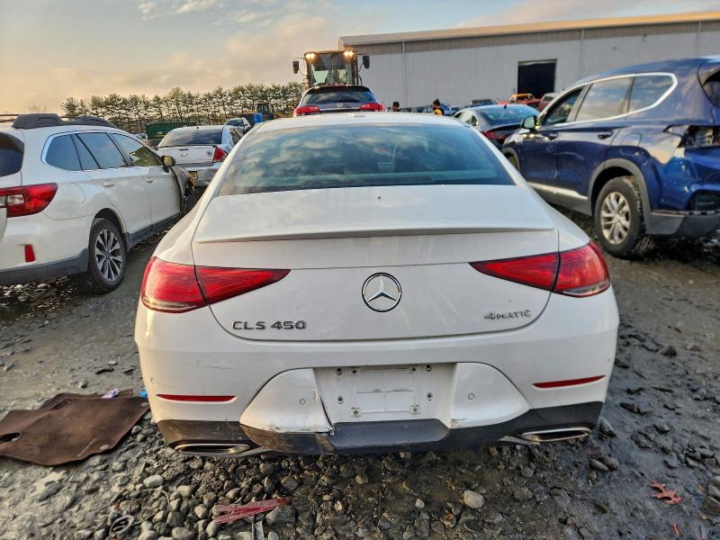 2019 MERCEDES-BENZ CLS 450 4M #3316956079