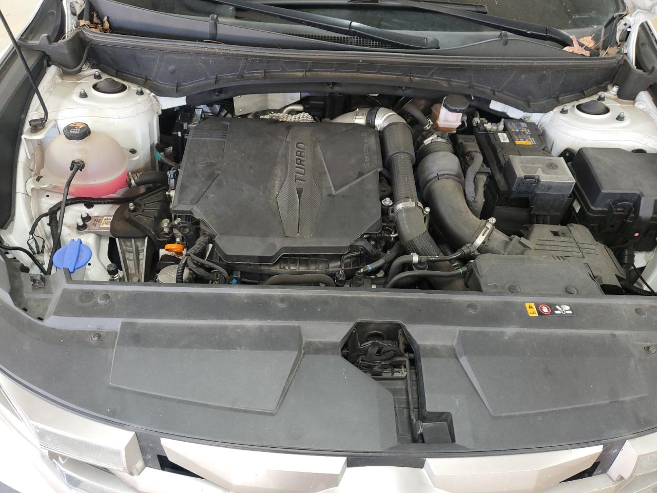 HYUNDAI SANTA CRUZ SEL PREMIUM