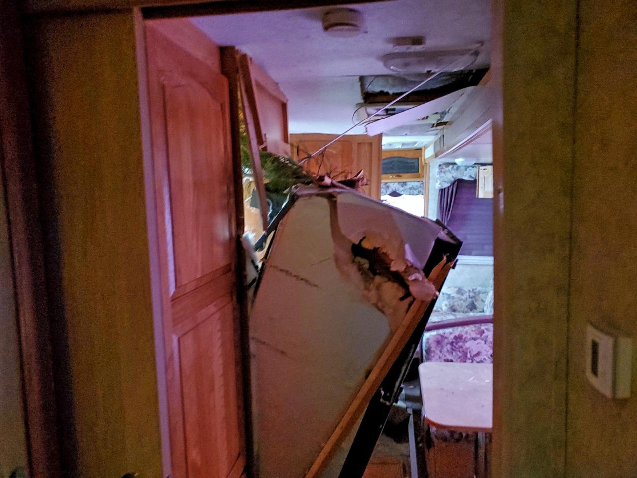 Lot #3297321394 2006 COUGAR TRAILER