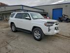 Lot #3298029163 2017 TOYOTA 4RUNNER SR