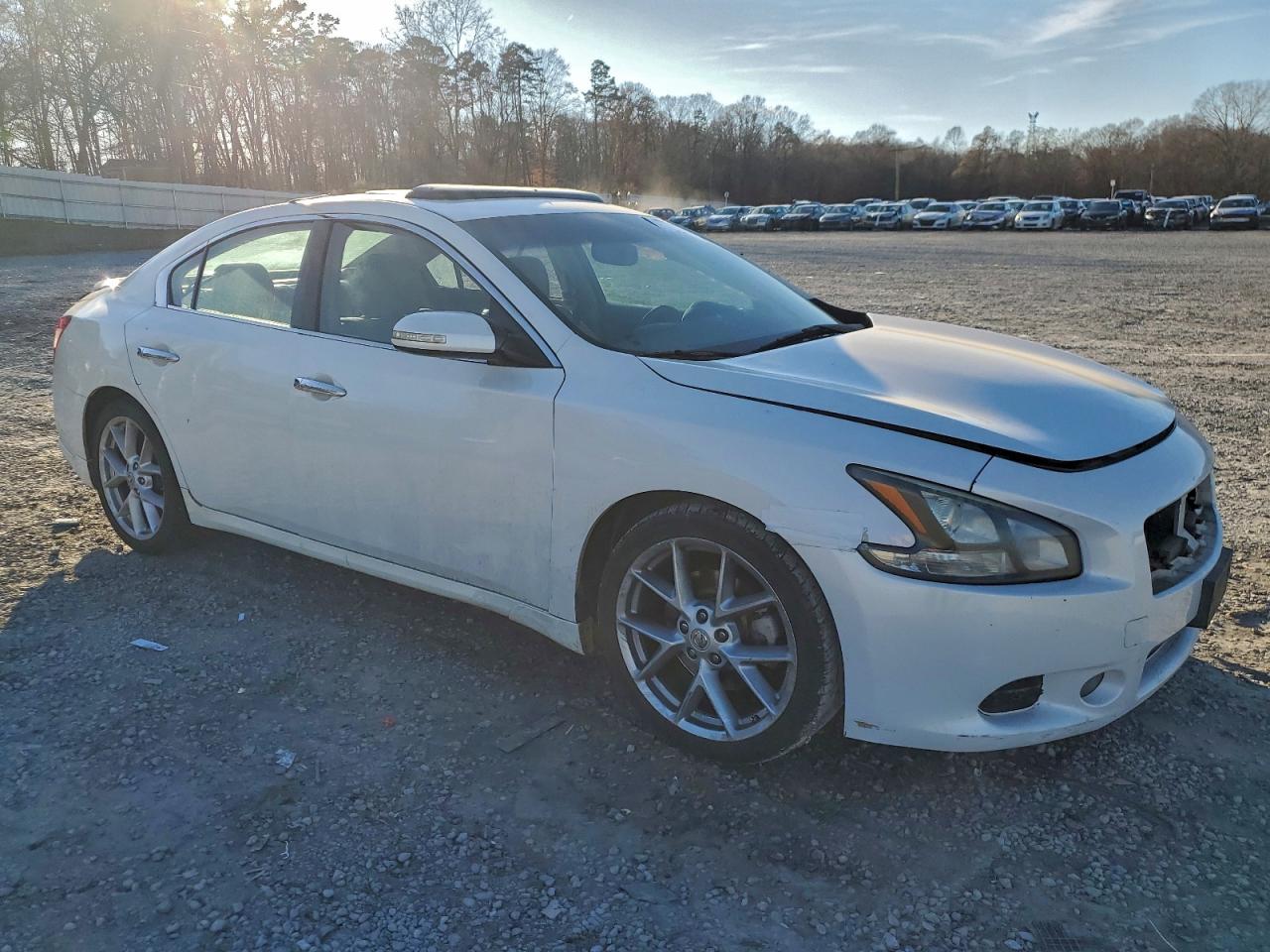 Lot #3301855978 2009 NISSAN MAXIMA S