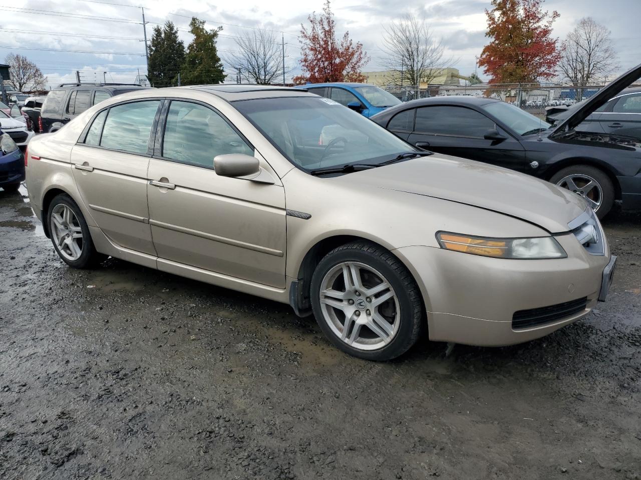 Lot #3285926581 2004 ACURA TL