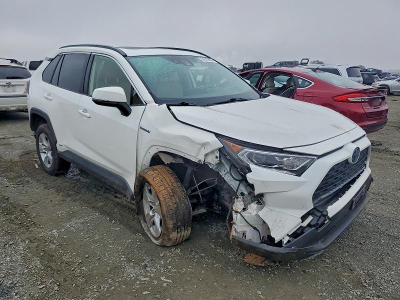 2020 TOYOTA RAV4 XLE #3309433967