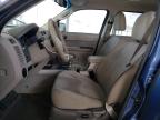 Lot #3293500432 2010 FORD ESCAPE XLT